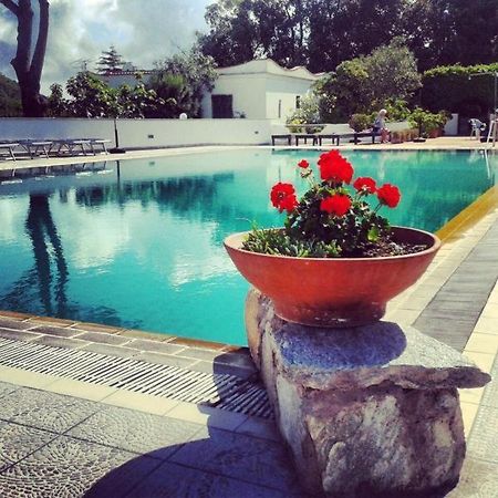 Hotel Al Bosco Forio  Luaran gambar